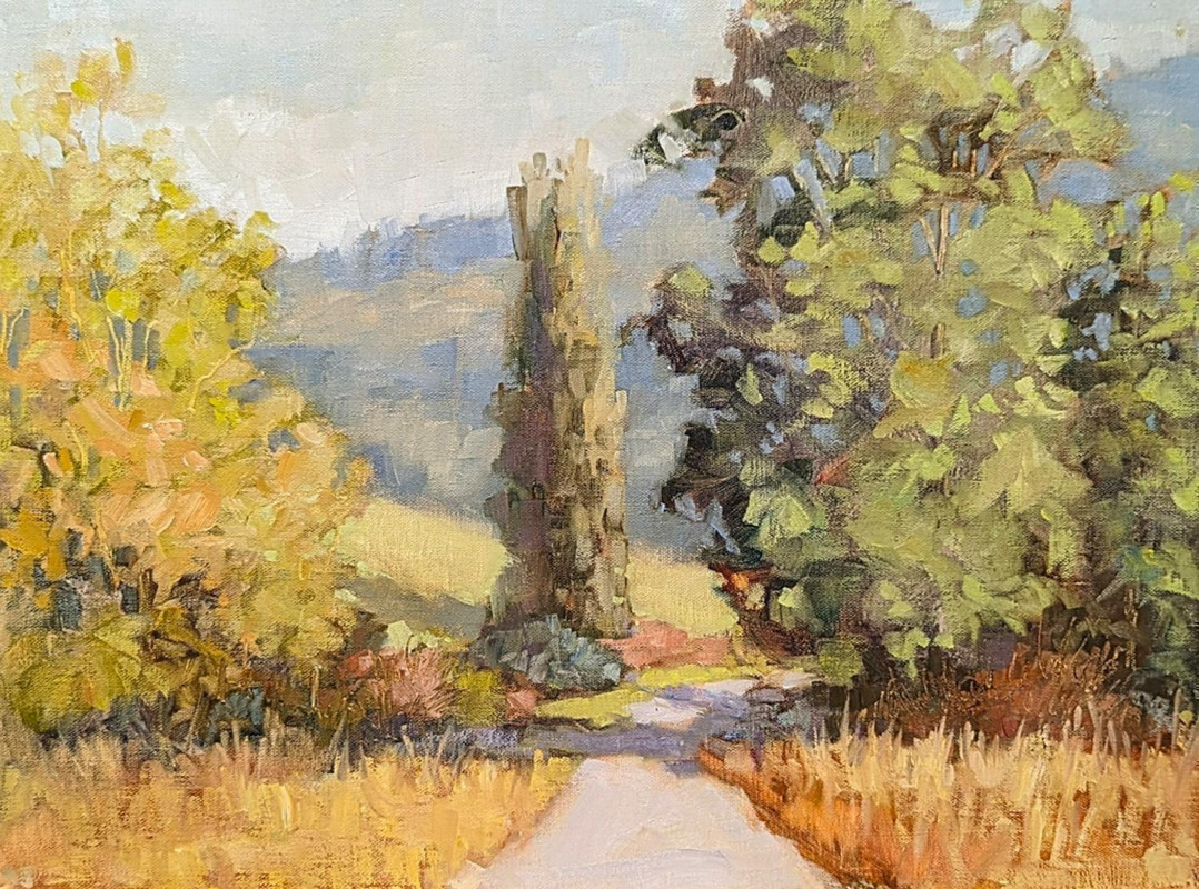 Shadows Across the Road