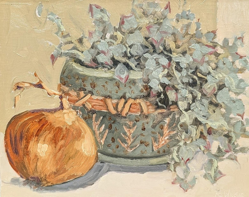 Succulent and Onion