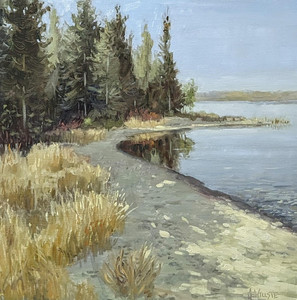 Green Lake Reflections