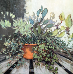 Mixed Succulents Bowl