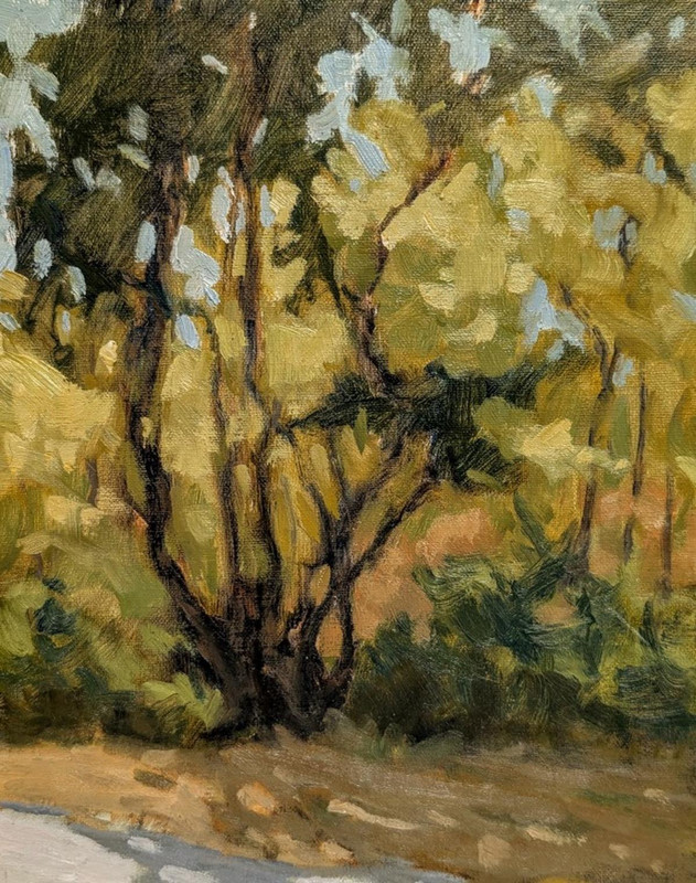 Morning Light