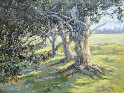 Early Morning Light