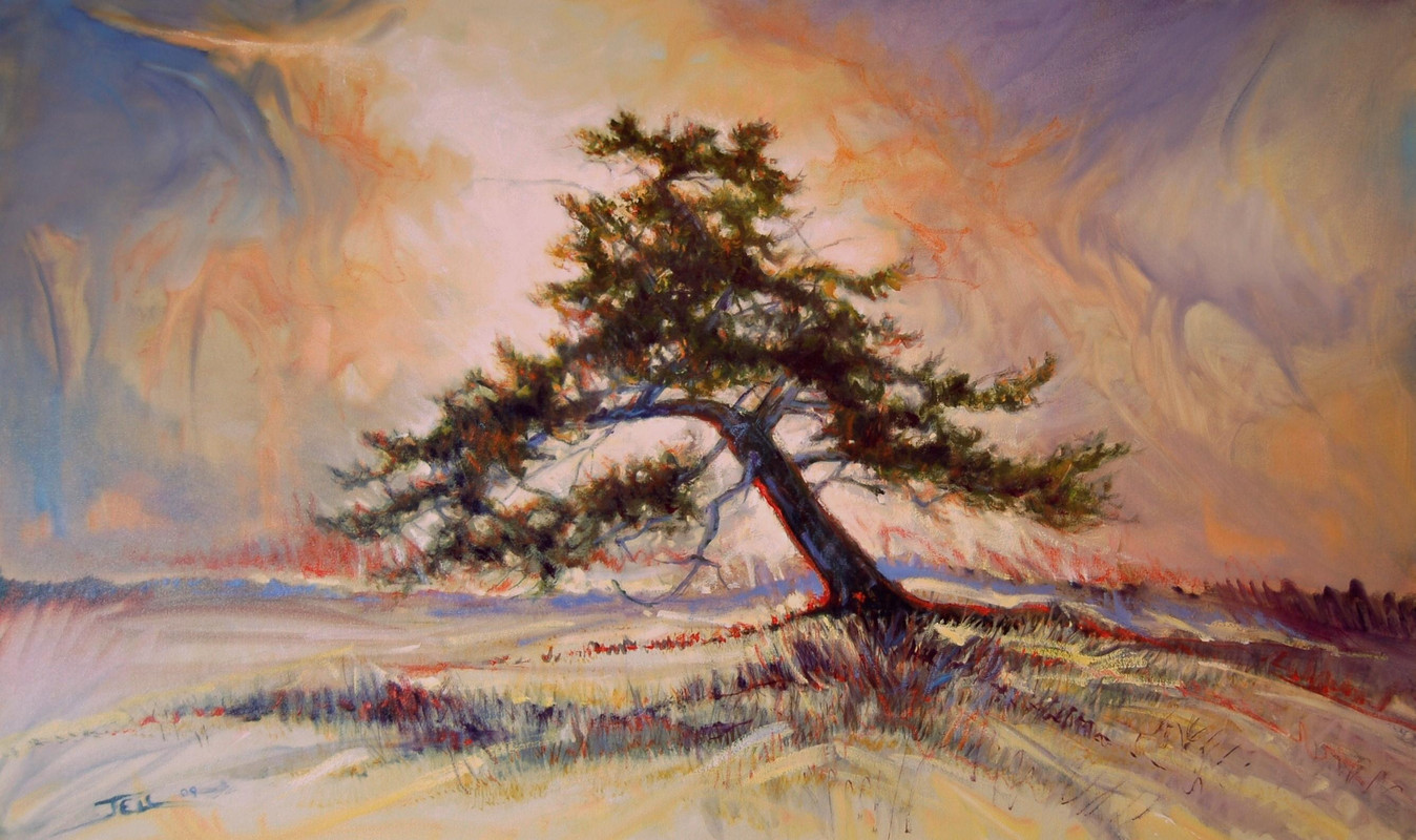 Okanagan Summer
