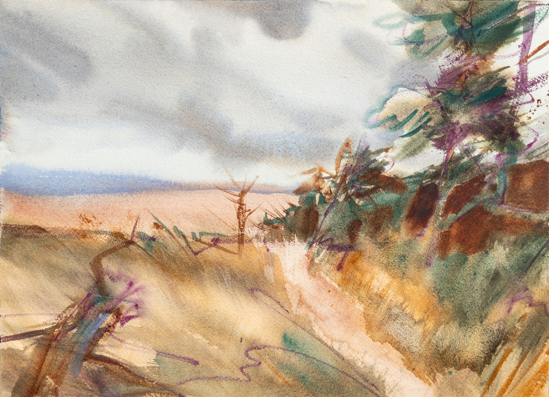 Dunes in Wind