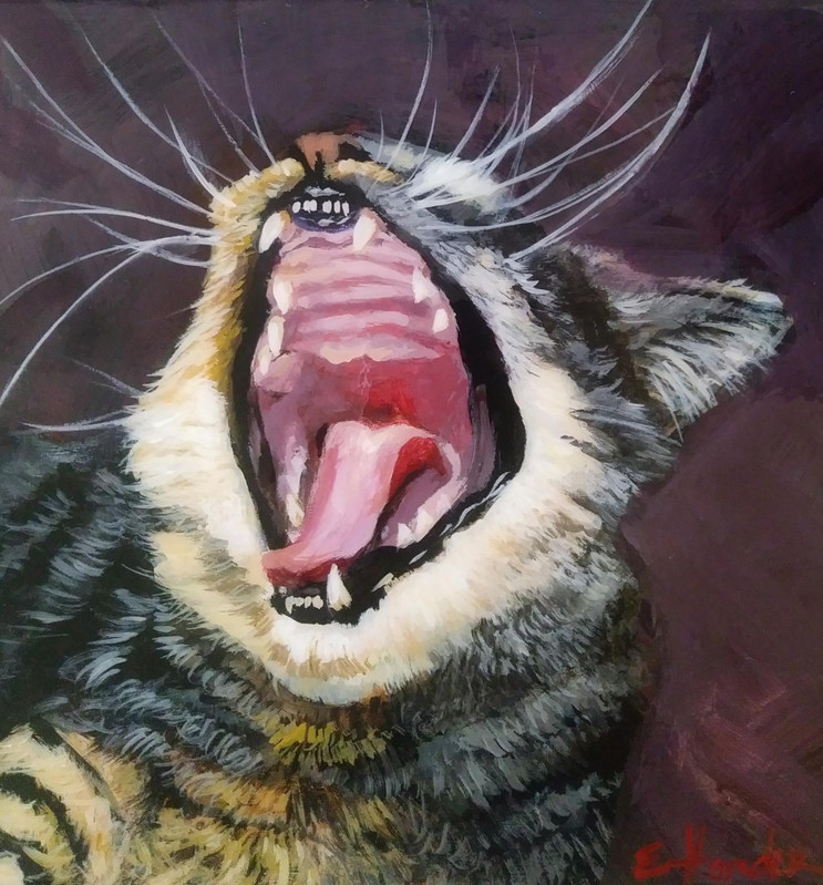 The Yawn