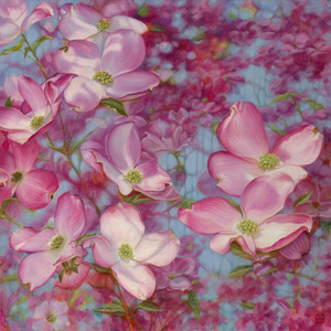 Flowering Dogwoods