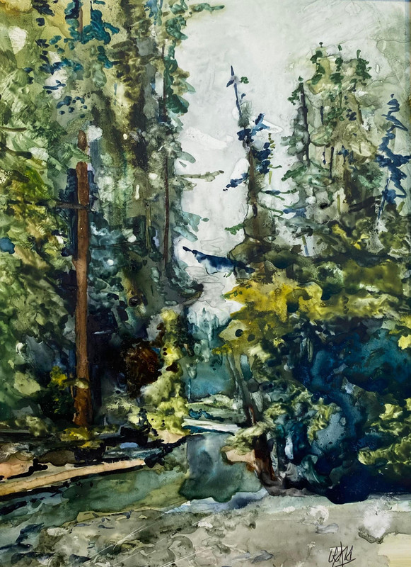 Carmanah Creek