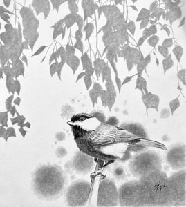 Chickadee