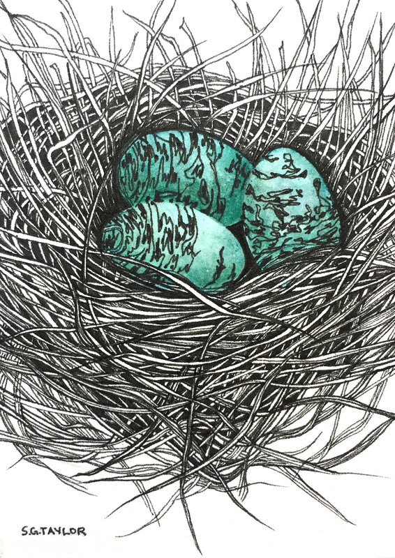 Small Nest: She Built on a Windy Day