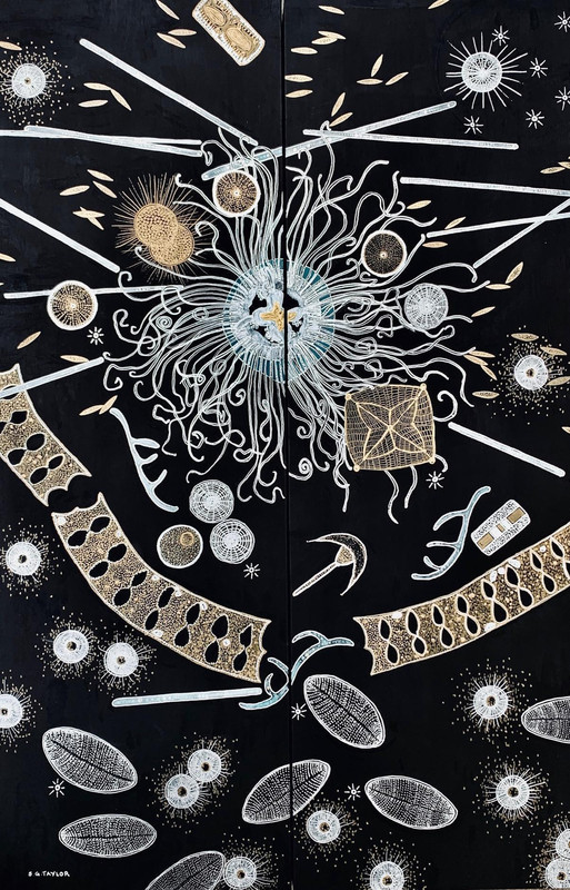 The Importance of Plankton XV