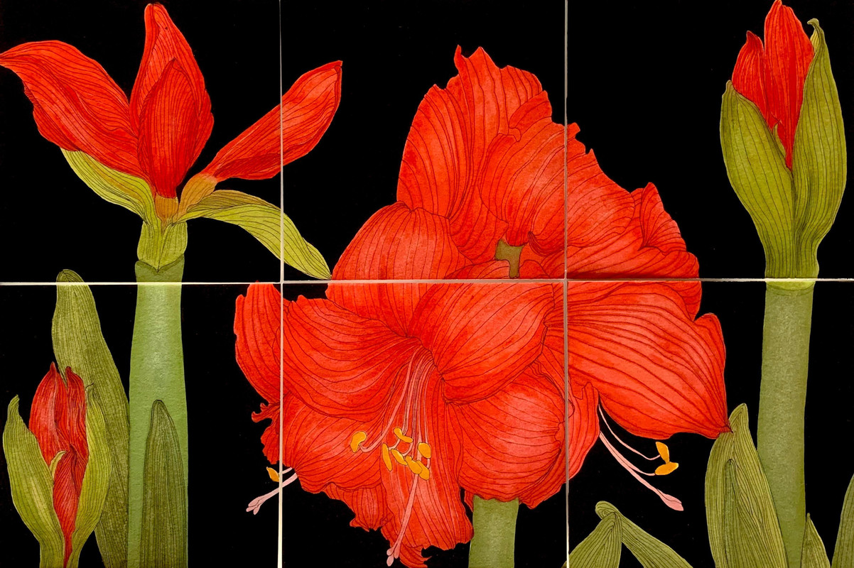 Flora, fragmented