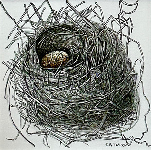 A Small Nest for One