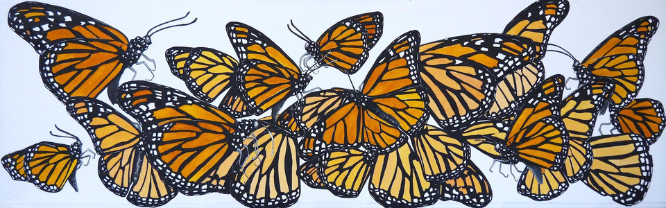 Beuty Endangered