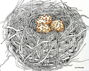 Small Nest #1: Rebirth