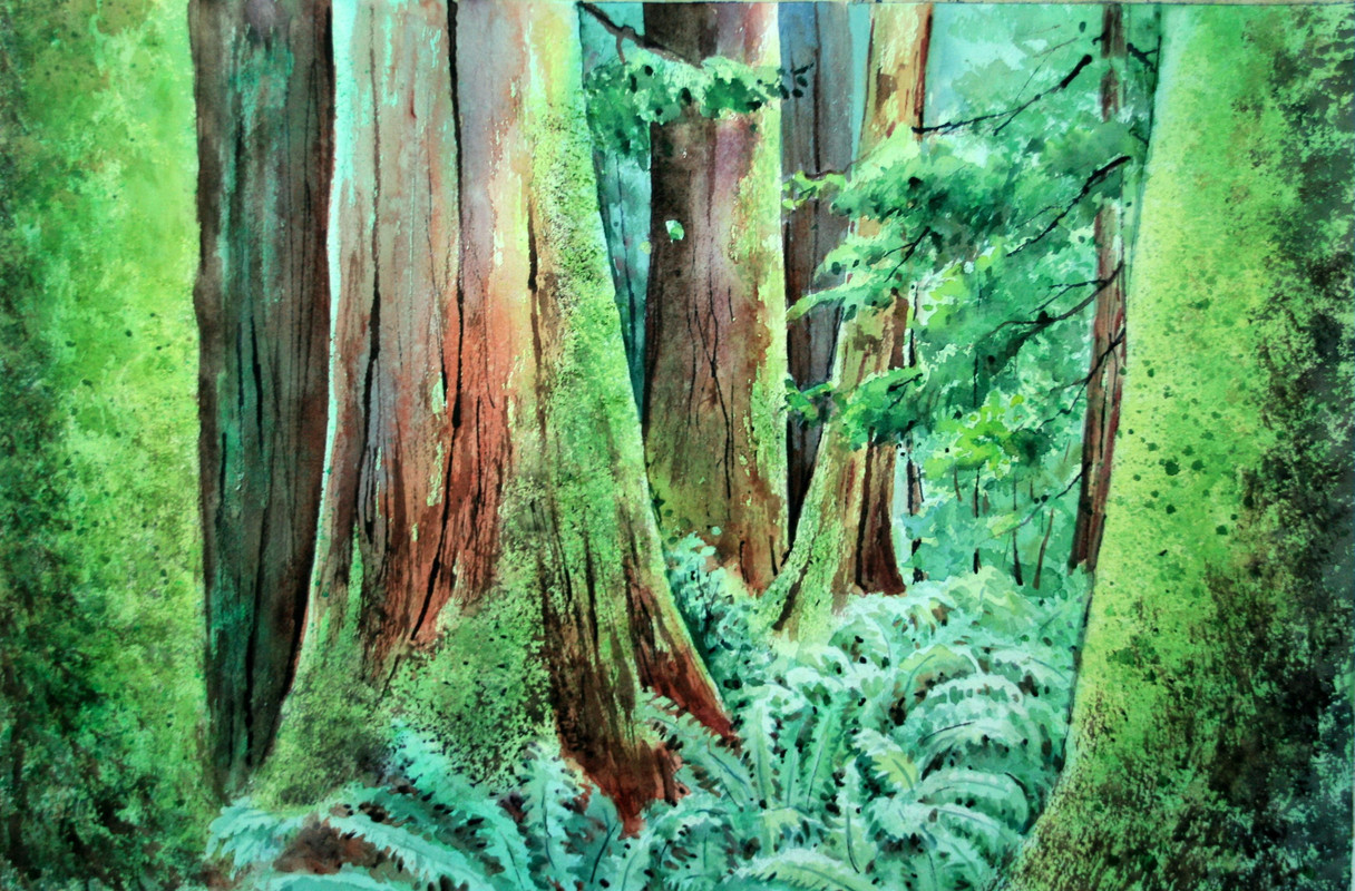 Emerald Forest