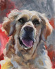 View #1