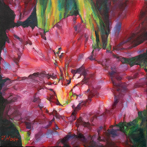 gladiola bloom