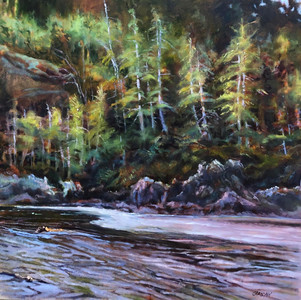 Cox Bay - Tofino Fine