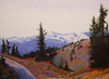 View #1