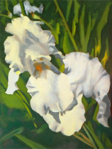 White Iris