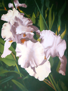 White Iris#2