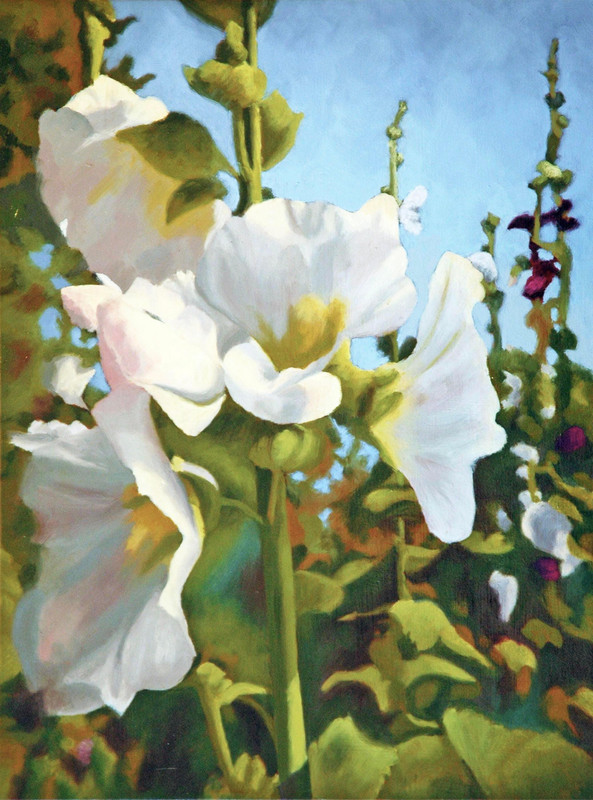 White Hollyhock