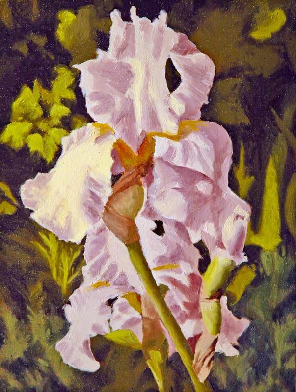 Iris Trio