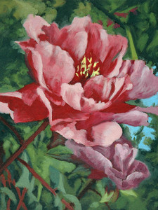 Red Peonie