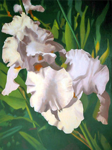 White Iris