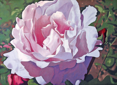 Lilac Rose