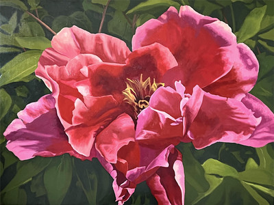 Red Peony