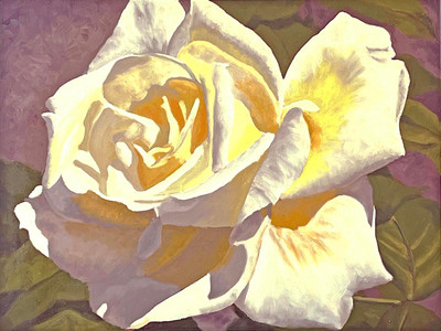 Pale white rose