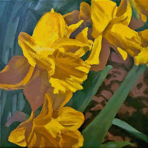 Daffies