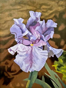 Blue Iris