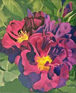 Violet2