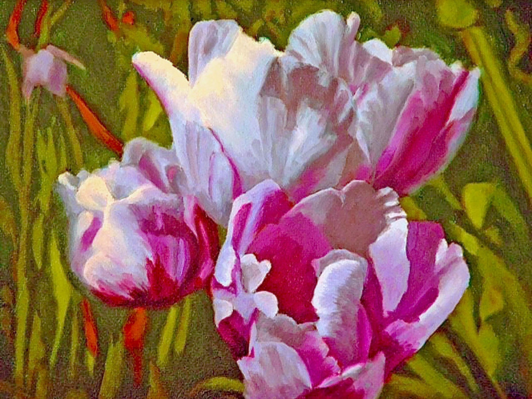 Red Tulips