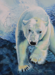 Winnipeg Zoo Polar Bear