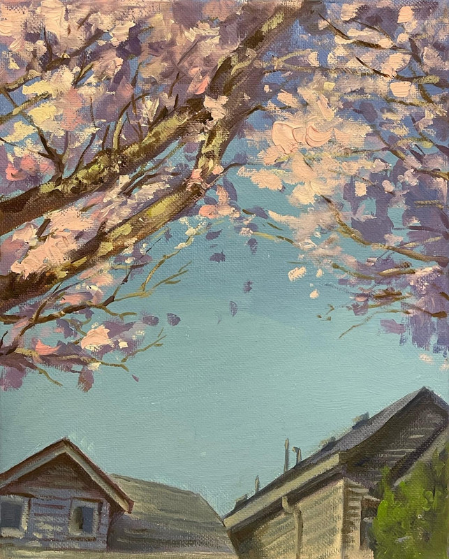 Spring Messengers