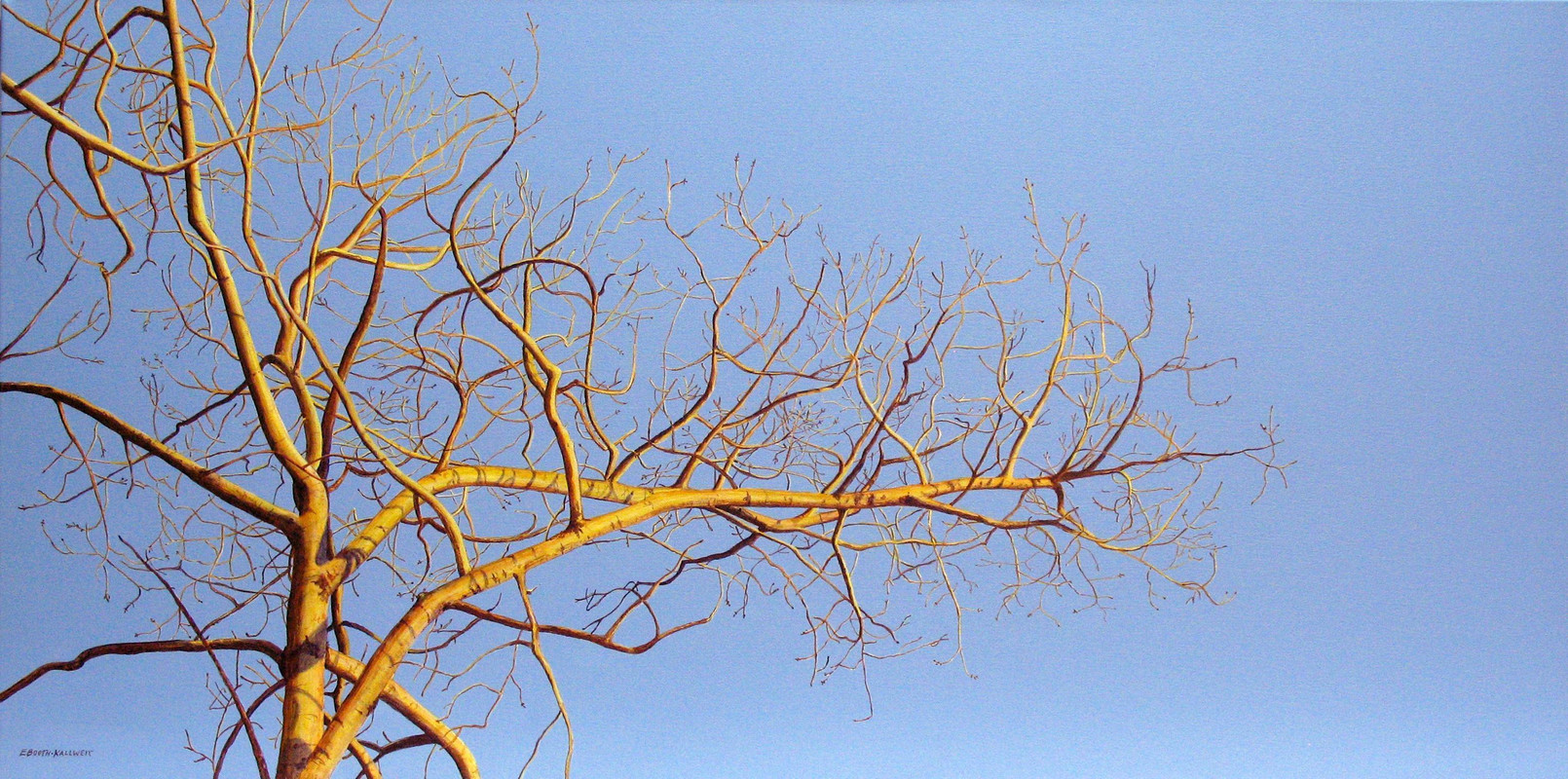 Aspen in the Autumn Sun