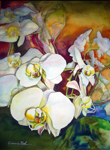 White orchid 3