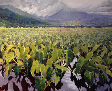 Taro Field