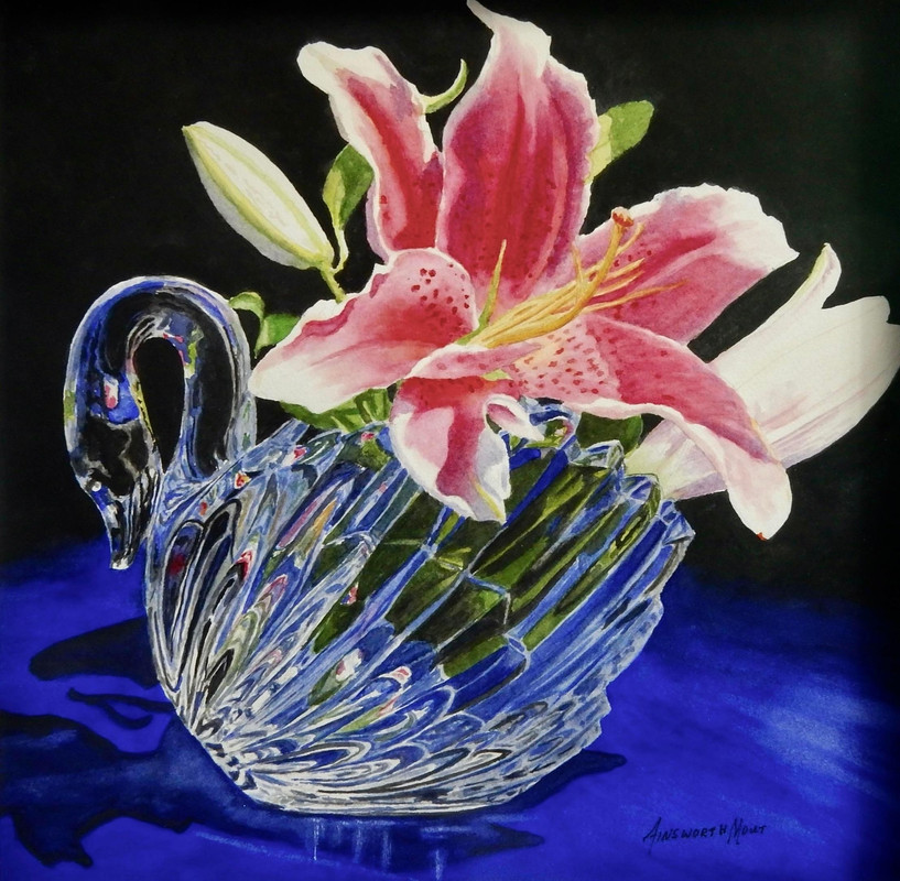 STARGAZER SWAN