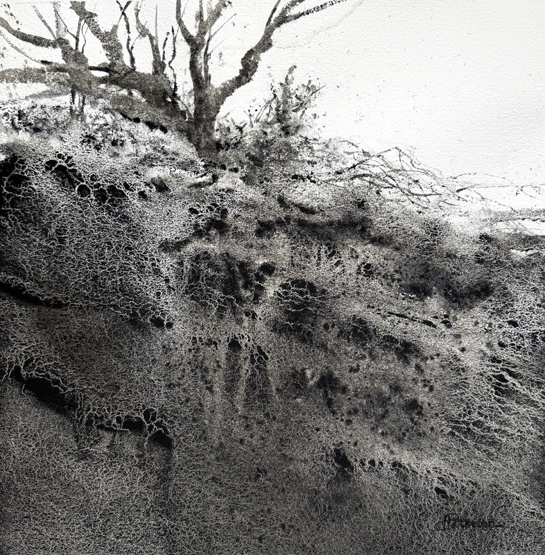 Ridge Runner