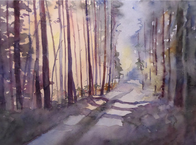 Moon Lit Forest Road