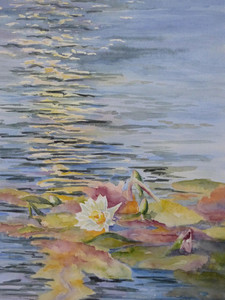 Water Lilies