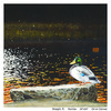 View #1