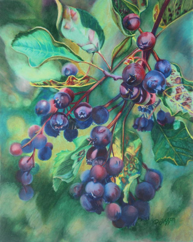 Saskatoons