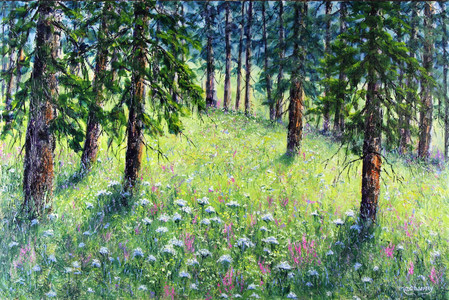 Carpeted by Wildflowers