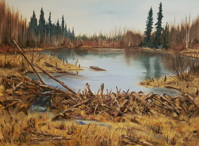 Beaver Dam