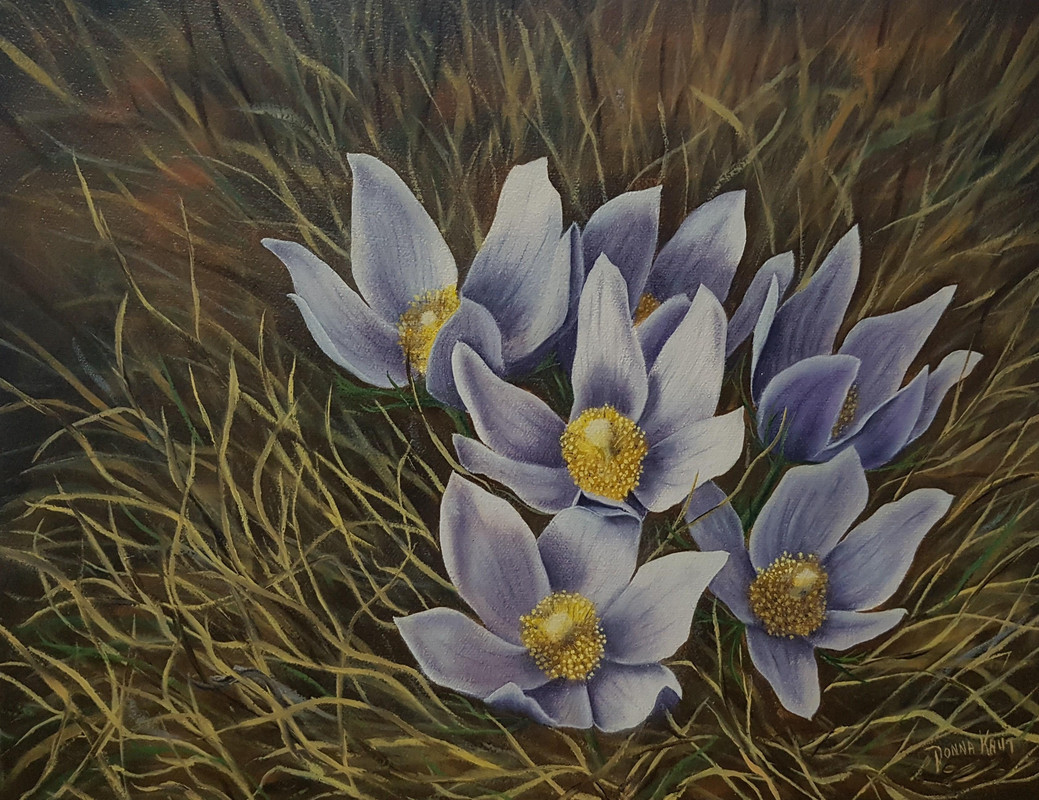 Crocus Blossoms